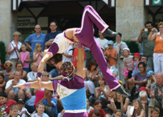 日本一のアクロバット